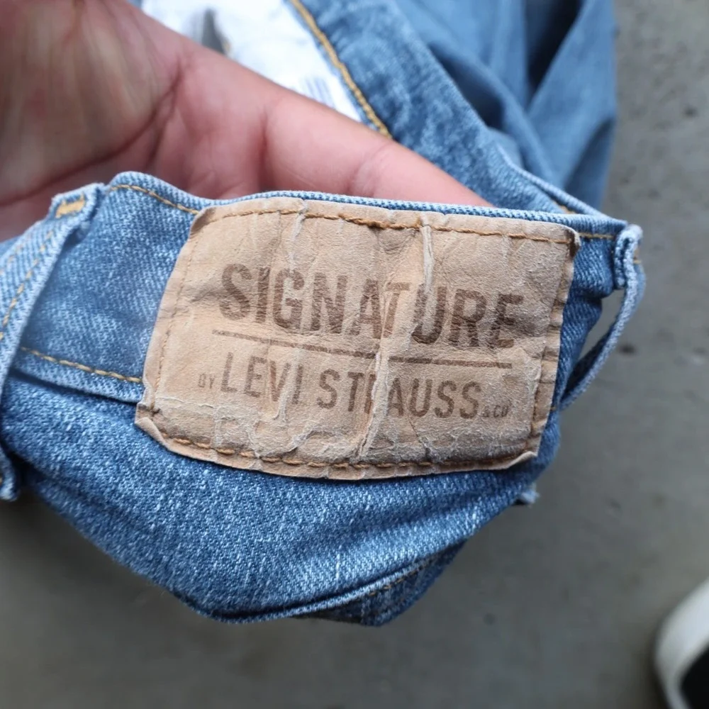Levis levi strauss